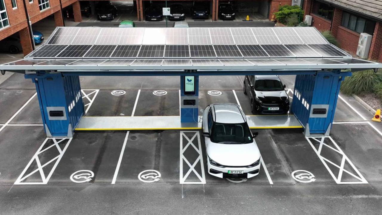 Papilio intalled in Surrey Research Park